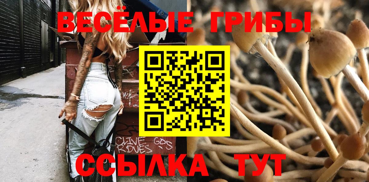 Галлюциногенные грибы GOLDEN TEACHER Крымск
